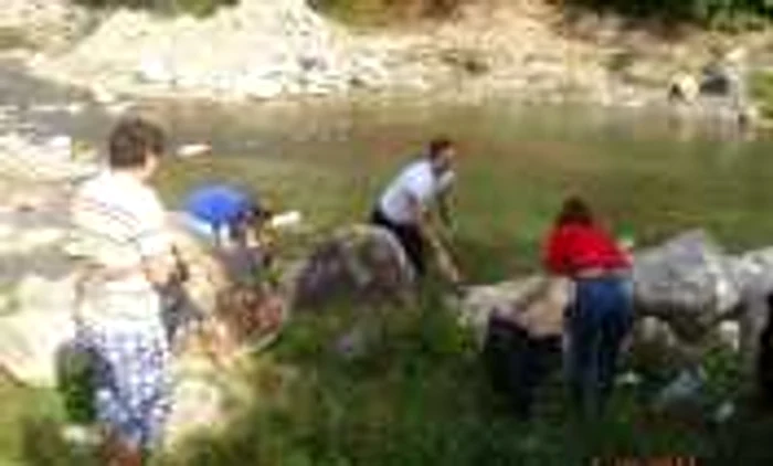 Ecologizarea face parte din proiectul "Voluntari în verde"