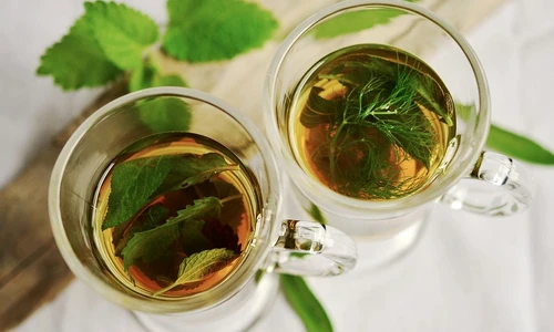 ceaiuri pentru fiere din plante medicinale jpeg