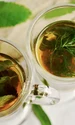 ceaiuri pentru fiere din plante medicinale jpeg