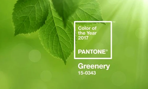 1 72374 original jpg jpeg