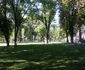 parcul municipal 12