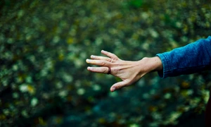 shutterstock 1928858441 jpg