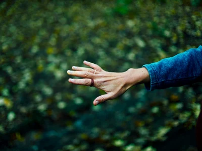 shutterstock 1928858441 jpg