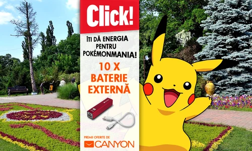 pokemania 1200 650 mic png