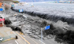 tsunami  jpg