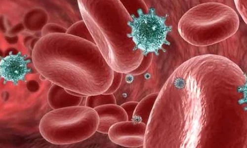 bacteria din gura care accelereaza cresterea celulelor canceroase jpeg