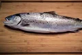 fish 2201050 640 jpeg