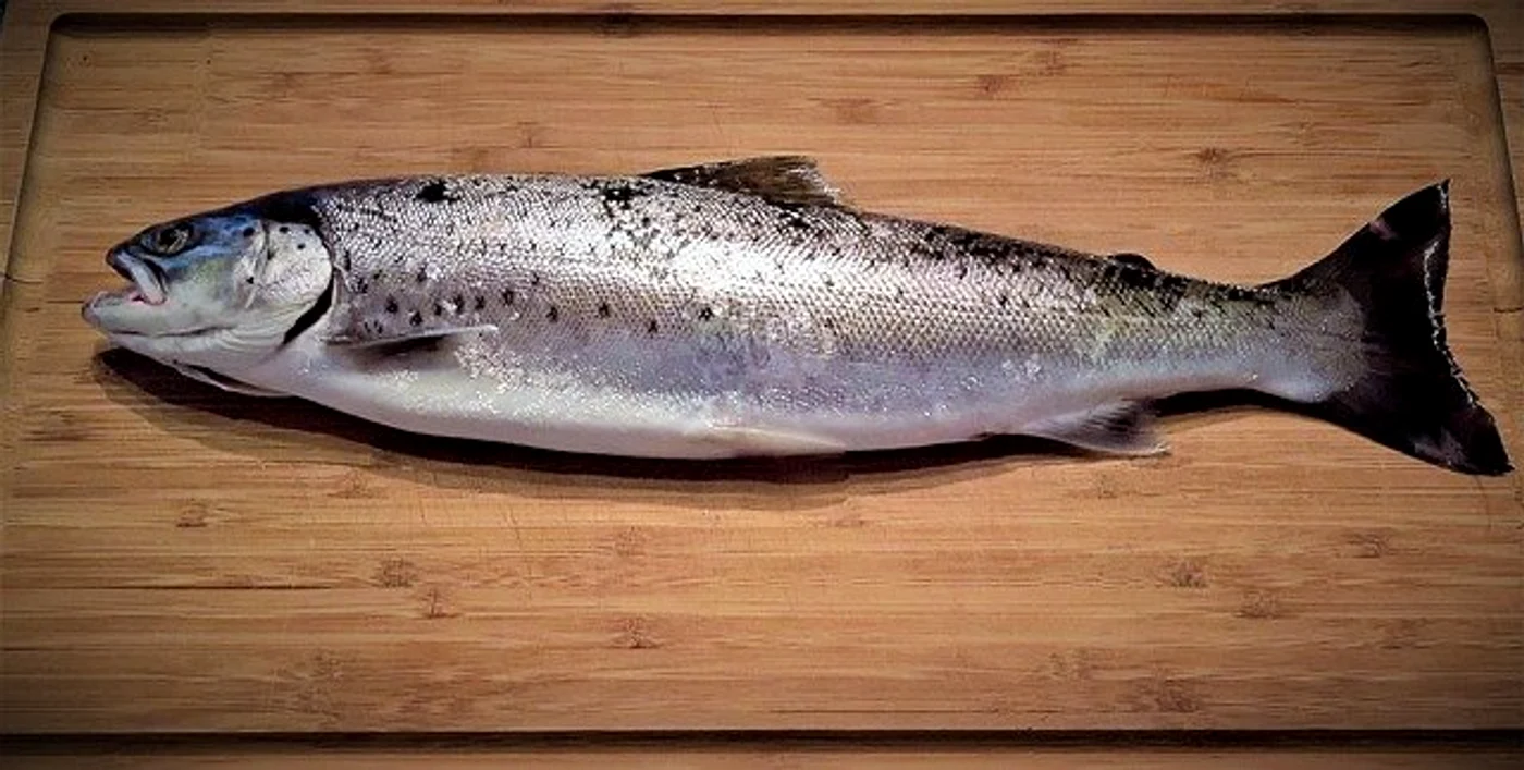 
    Păstrăvul este o sursă importantă de fier, Omega 3 și B12Foto: pixabay.com  