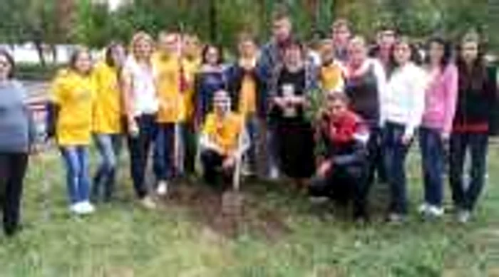 Elevii și profesorii au plantat copaci în curtea școlii