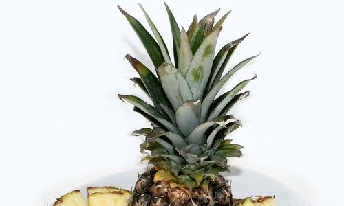 1 69439 original jpg jpeg