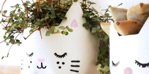 Idei pentru refolosirea sticlelor de plastic