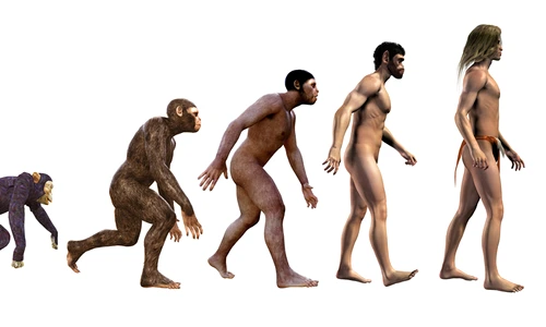 1 shutterstock 747060886 jpg jpeg