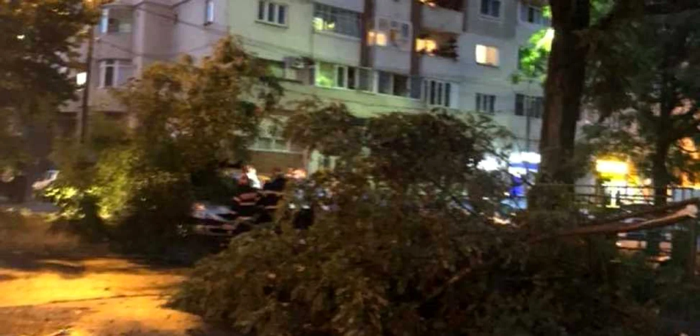 Pe strada Fraţii Goleşti, furtuna a doborât un copac