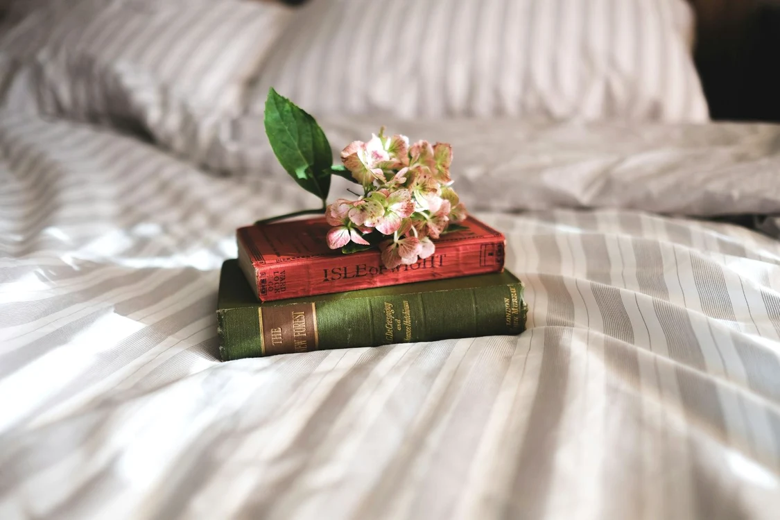 annie spratt e3mQgEV0Kpg unsplash jpg