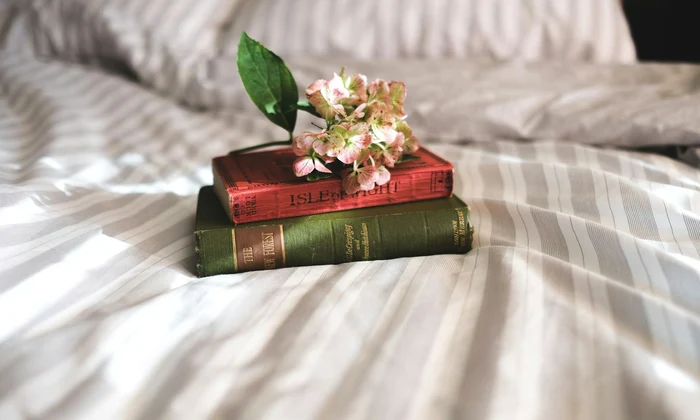 annie spratt e3mQgEV0Kpg unsplash jpg