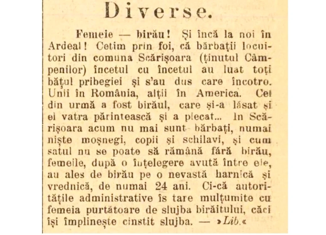 Articolul din ziarul Tribuna a fost preluat și de alte publicații (foto; Arhivă)