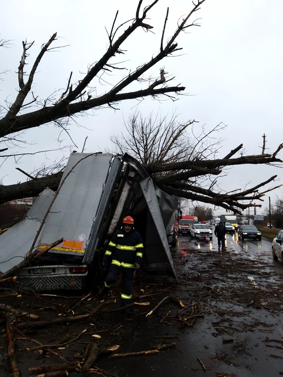 Un copac a căzut peste un camion la Timișoarafoto: ISU Timis