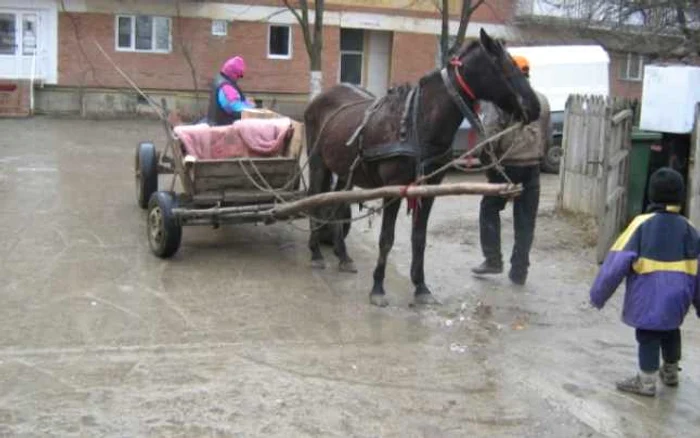 Nevoiașii,fara ajutoare de la Uniunea Europeană