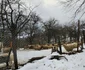Satul Socet din Hunedoara Foto Daniel Guță ADEVĂRUL (39) jpg