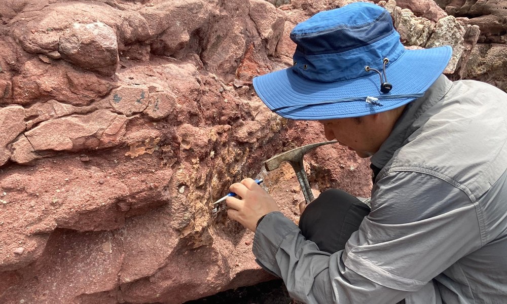Fosile de dinozaur descoperite în premieră într-o zonă din estul Asiei