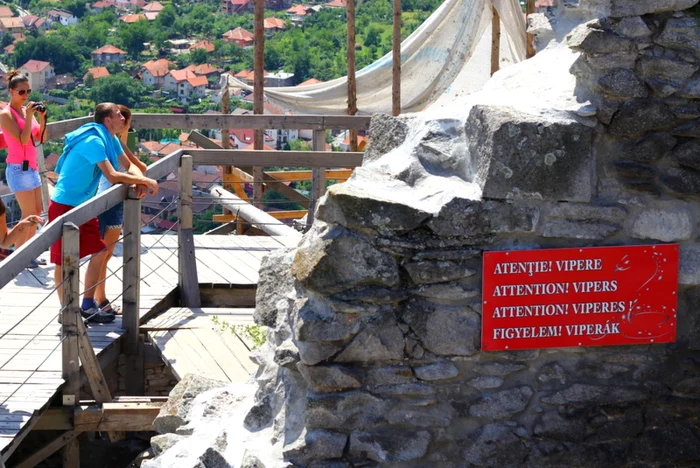 În zonele stâncoase, cum este cea a cetăţii Devei, prezenţa viperelor este semnalizată. FOTO: Daniel Guţă