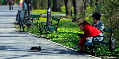 vremea parc adevarul