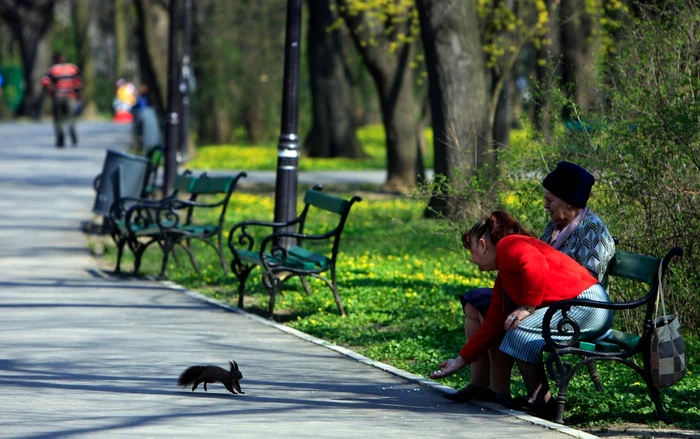 Două săptămâni de vreme capricioasă, în Muntenia. FOTO Adevărul