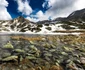 retezat poiana pelegii lacul bucura foto marius turc