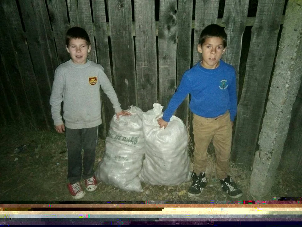 155 de copii au primit provizii pentru iarnă FOTO Facebook/Dan Damaschin