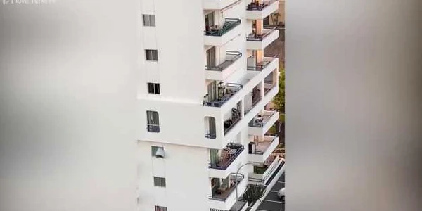 5e16dd785163ec4271e10cce jpg