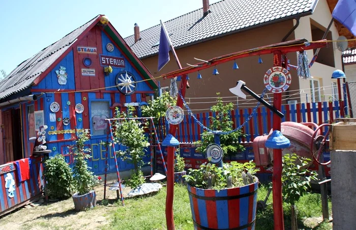 fan steaua bistrita 3