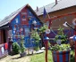 fan steaua bistrita 3