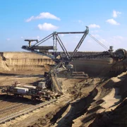 Pamanturi rare minat extractie FOTO Shutterstock