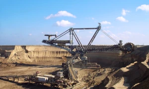 Pamanturi rare minat extractie FOTO Shutterstock