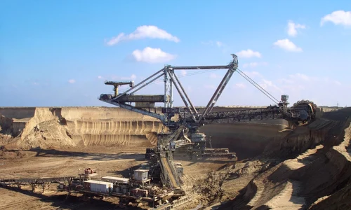 Pamanturi rare minat extractie FOTO Shutterstock