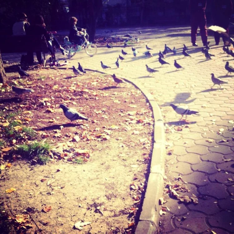 Parc