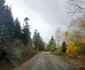 Drumul spre Vadu Dobrii Hunedoara  Foto Daniel Guță (7) jpg