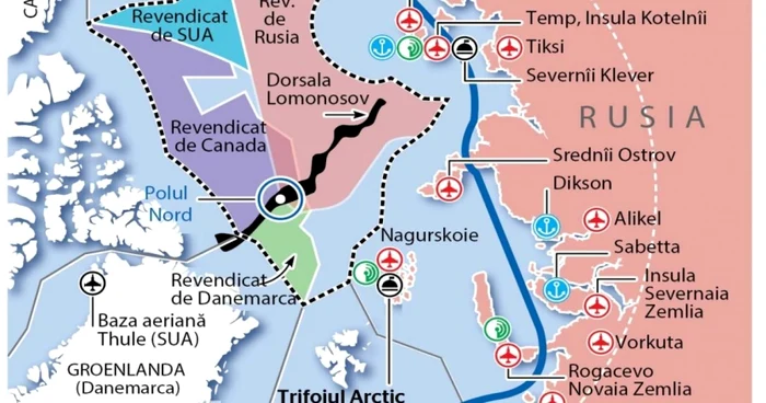 INFOGRAFIE Trifoiul Arctic