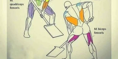 Fitness la lopată 