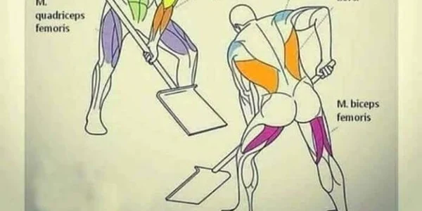 Fitness la lopată 