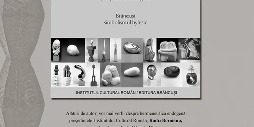 afis brancusi