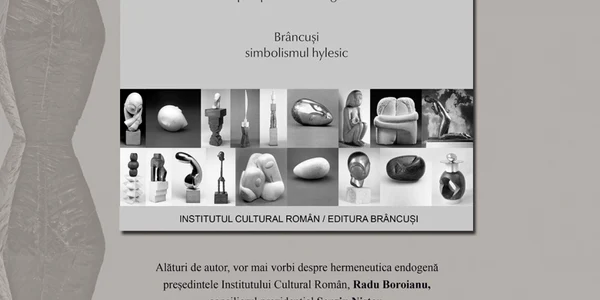 afis brancusi