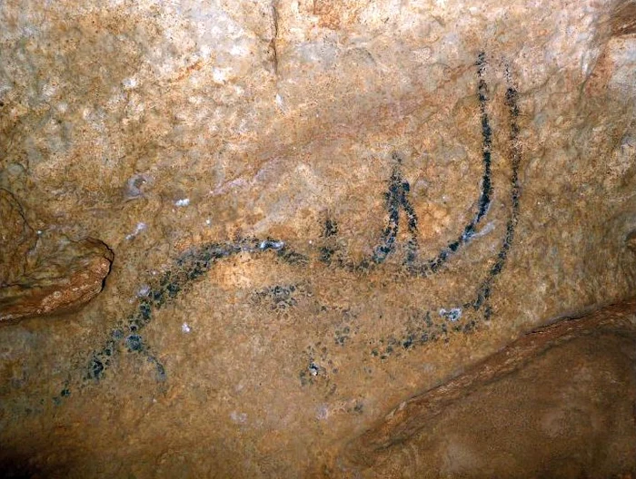 Picturi rupestre în Peștera Coliboaia. Foto: Andrei Posmoșanu. 