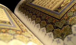 Nu, nu e de la islam jpeg