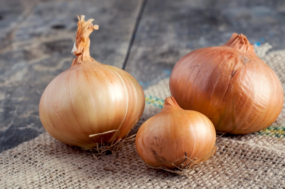 Ceapa scapă locuinţa de bacterii FOTO Shutterstock