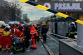 cub accident png