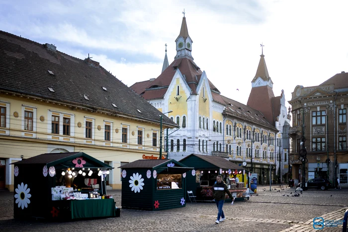 Timișoara, orașul florilor FOTO PMT