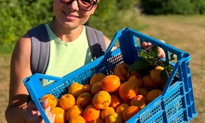  Grădinăreasa româncă din Anglia, fostă asistentă medicală Foto: FB/Grădina din UK