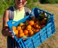  Grădinăreasa româncă din Anglia, fostă asistentă medicală Foto: FB/Grădina din UK