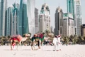 dubai minuni jpg